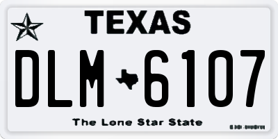TX license plate DLM6107
