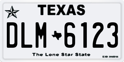 TX license plate DLM6123