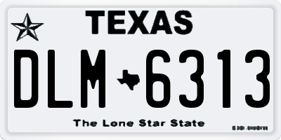 TX license plate DLM6313