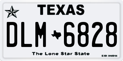 TX license plate DLM6828