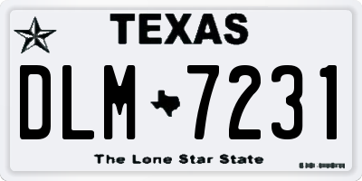 TX license plate DLM7231