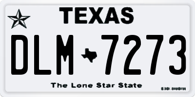 TX license plate DLM7273