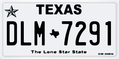 TX license plate DLM7291