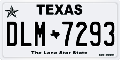 TX license plate DLM7293