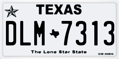 TX license plate DLM7313