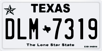 TX license plate DLM7319