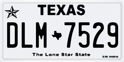 TX license plate DLM7529