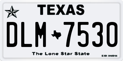TX license plate DLM7530