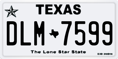 TX license plate DLM7599