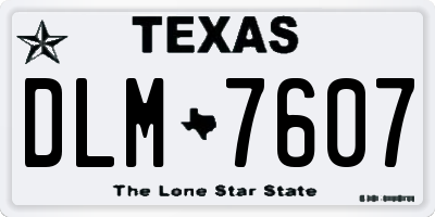 TX license plate DLM7607