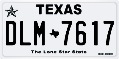 TX license plate DLM7617