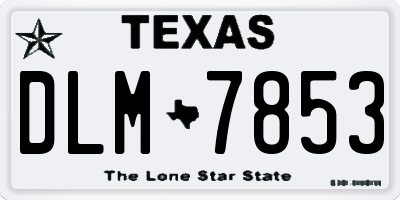 TX license plate DLM7853