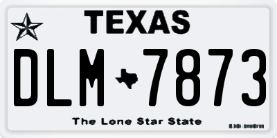 TX license plate DLM7873