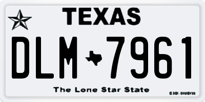 TX license plate DLM7961