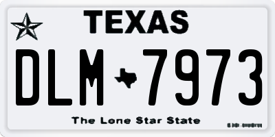 TX license plate DLM7973