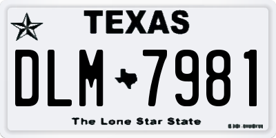 TX license plate DLM7981