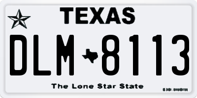TX license plate DLM8113