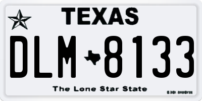 TX license plate DLM8133