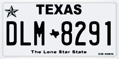 TX license plate DLM8291
