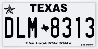 TX license plate DLM8313