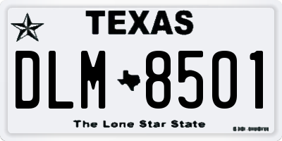 TX license plate DLM8501