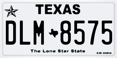 TX license plate DLM8575