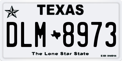 TX license plate DLM8973