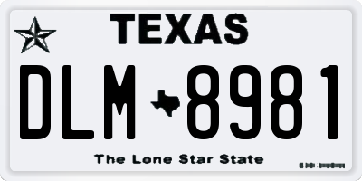 TX license plate DLM8981