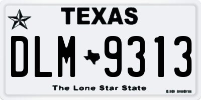 TX license plate DLM9313