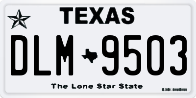TX license plate DLM9503