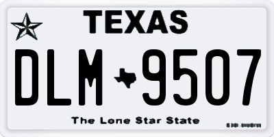 TX license plate DLM9507