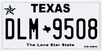 TX license plate DLM9508