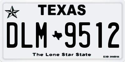 TX license plate DLM9512