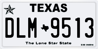 TX license plate DLM9513
