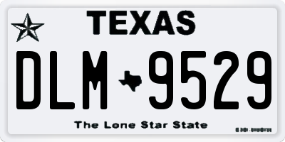 TX license plate DLM9529