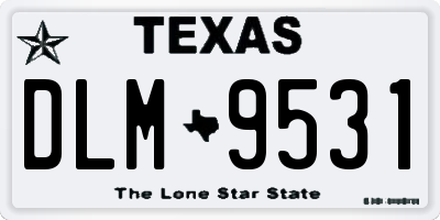 TX license plate DLM9531