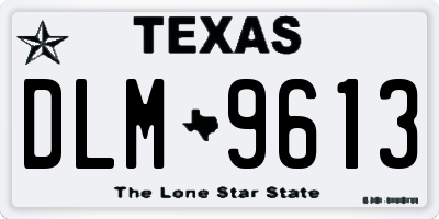 TX license plate DLM9613