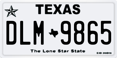 TX license plate DLM9865