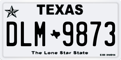TX license plate DLM9873
