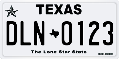 TX license plate DLN0123