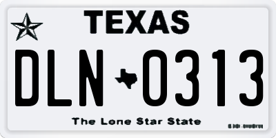 TX license plate DLN0313