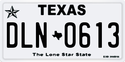 TX license plate DLN0613