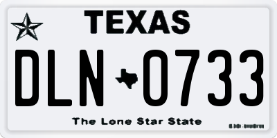 TX license plate DLN0733