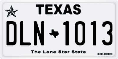 TX license plate DLN1013
