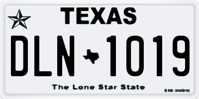 TX license plate DLN1019