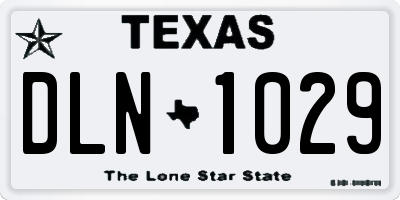 TX license plate DLN1029