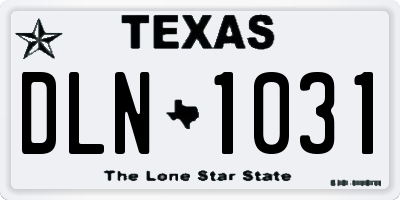 TX license plate DLN1031