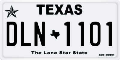 TX license plate DLN1101