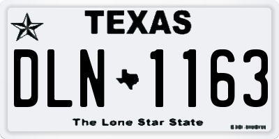 TX license plate DLN1163