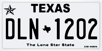 TX license plate DLN1202